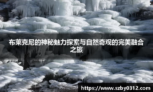 3377体育官网