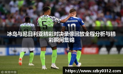 冰岛与尼日利亚精彩对决录像回放全程分析与精彩瞬间集锦