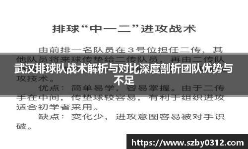 3377体育官网