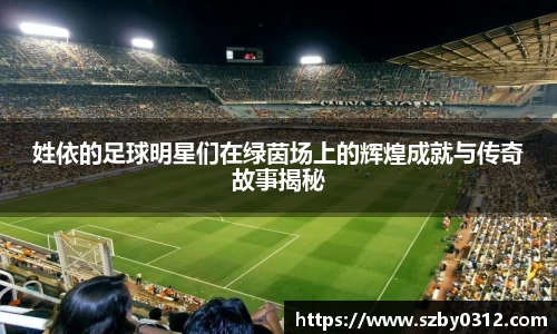 姓依的足球明星们在绿茵场上的辉煌成就与传奇故事揭秘